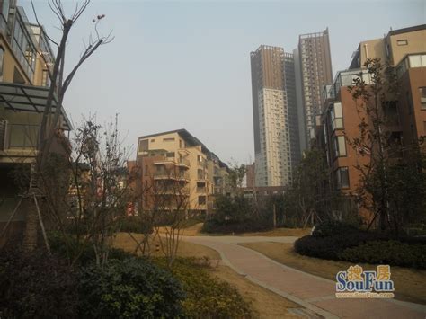 当代国际花园御景高层绿化（20140114）-武汉搜房网