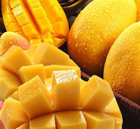 芒果是热性还是凉性的？功效有哪些？ | 说明书网
