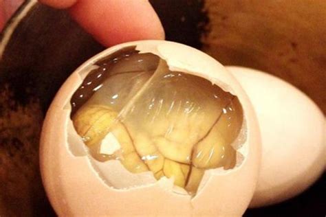 新鲜毛蛋生的即食40毛鸡蛋龙凤活珠子鸡胚蛋寡蛋13免邮18天非钢化-阿里巴巴