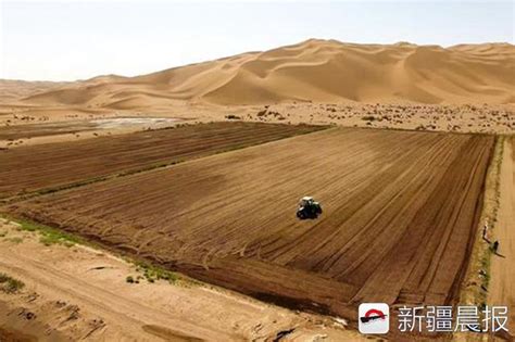 沙漠也能种水稻！袁隆平团队在迪拜沙漠种水稻，首茬稻米有点甜