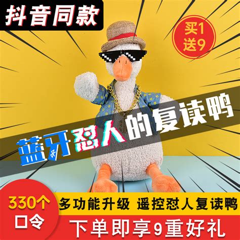 【中国新闻网】东大学生走进田间 巧手建鸭寮展无限创意