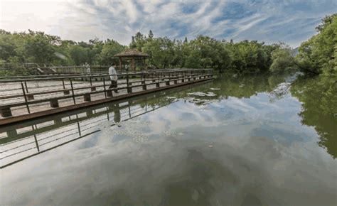 2021杭州西溪湿地公园门票 杭州西溪湿地公园一日游攻略_旅泊网