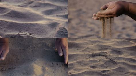 雅鲁藏布江沿岸沙漠化整治见效：昔日飞沙漫天，今日止沙生绿__凤凰网