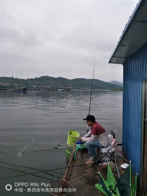 垂钓万峰湖擒获数尾大鱼渔获过百斤_钓鱼人必看