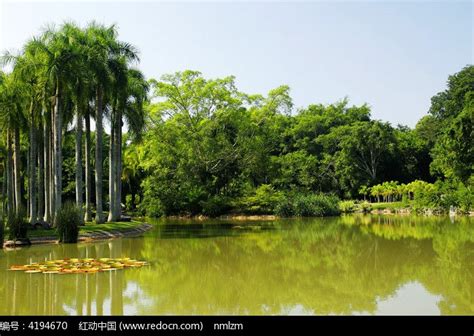 西双版纳热带植物园团建活动策划-去西双版纳热带植物园团建旅游要多少钱-有山团建