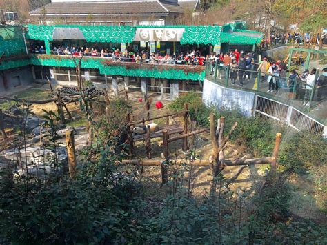 红山动物园“亚洲灵长区”建成开放 14只动物有新家啦（视频）_荔枝网新闻