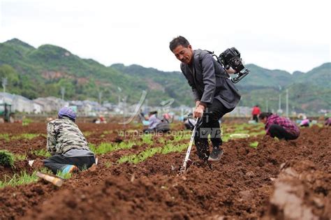 贵州余庆：谷雨将至农事忙-人民图片网