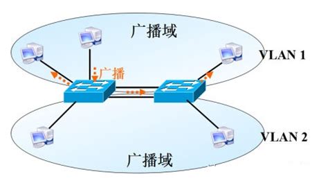 一张图看懂VLAN的作用 - 知乎