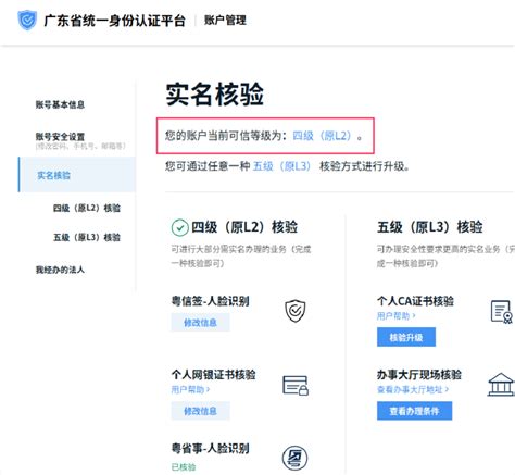 什么是身份（IP）验证？为什么要身份验证？ | DDNSTO远程控制