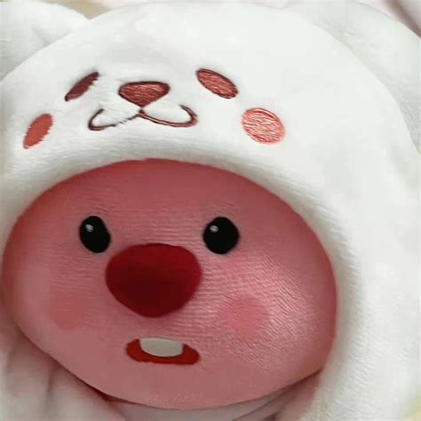 小海狸图片