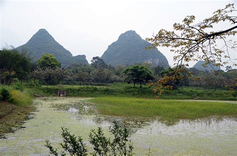广西唯一的侗族县，有一个世界级非遗的百年侗寨，居然鲜为人知