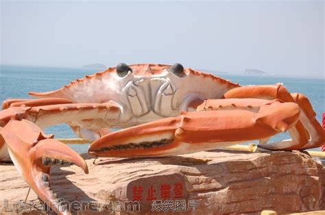 惊现世界上最大的螃蟹!!!!!!