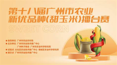 （中国农网）玉米亩产617.66公斤 四川大豆玉米带状复合种植测产结果亮眼-四川农业大学新闻网