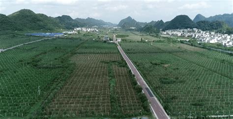贵州2022年粮食播种面积逾4183万亩_六枝特区_大豆_小麦