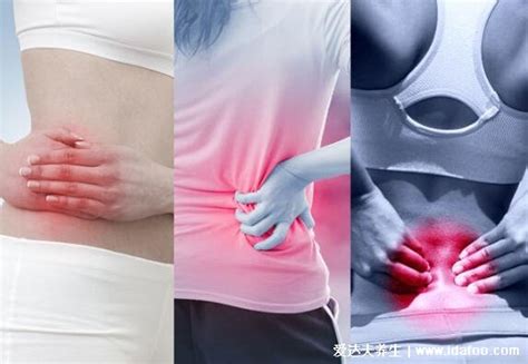 肾结石会导致身体哪个部位疼痛。注意分别对肾疼和腰疼的图解。_花胶养生之家