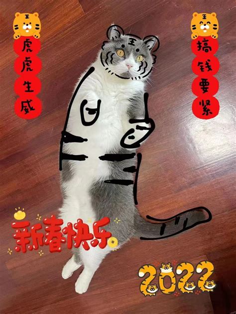 照猫画虎的意思_成语照猫画虎的解释-汉语国学