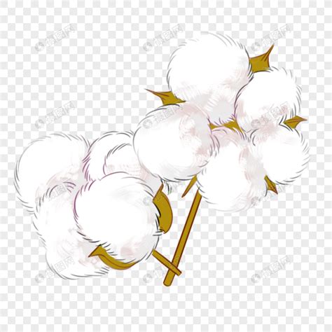 棉花宝宝图片