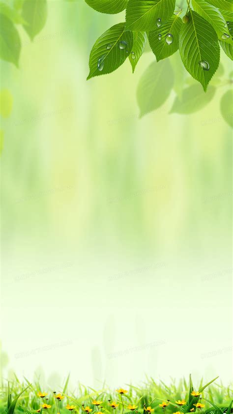 约会春天绿色清新h5海报背景psd背景图片素材免费下载_熊猫办公