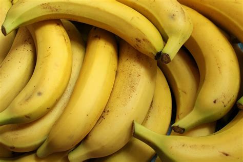 九月广西产区香蕉行情浅析 - 水果行情 - 绿果网