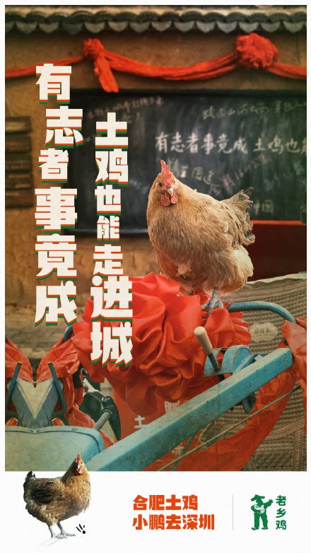 安徽老乡鸡加盟提速，半年卖了1150万份鸡汤，实控人为束从轩家族__凤凰网