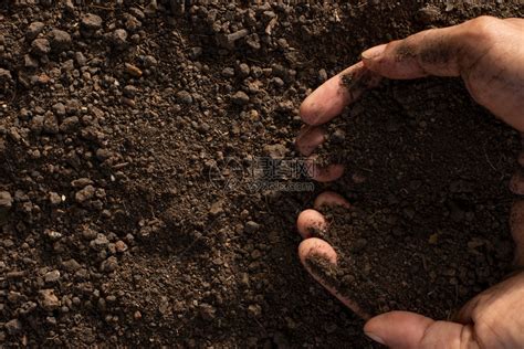 栽培的种植物土壤地面场高清图片下载-正版图片307904156-摄图网