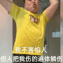龙丽丽表情包图片