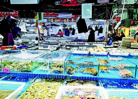 市场上鲜新鲜鱼海产食品品种繁多烹饪维生素钓鱼厨房美味销售美食餐厅海鲜鲭鱼高清图片下载-正版图片321027738-摄图网