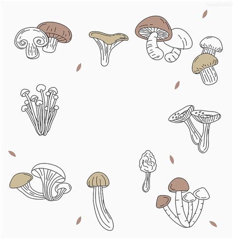 菌菇 简笔画