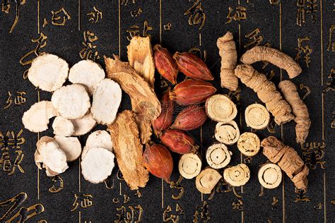 中药大全图片