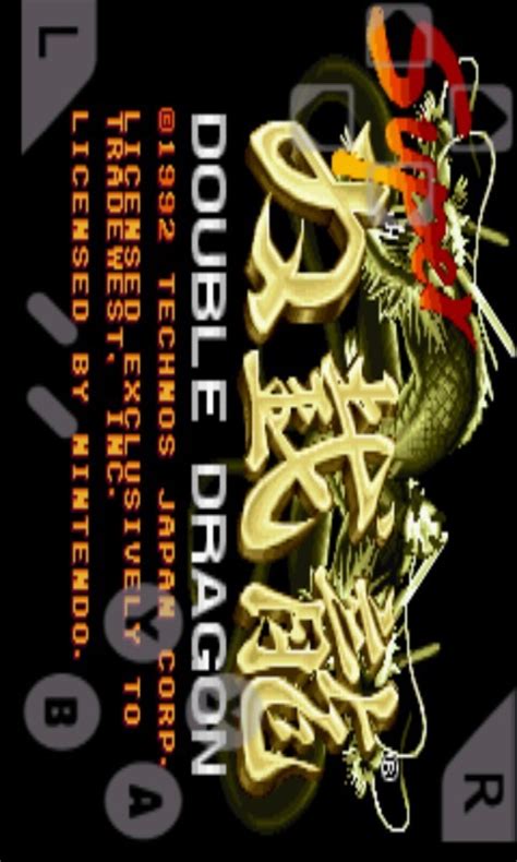 双截龙3无敌版下载-双截龙3(double dragon 3 the roset)下载-绿色资源网