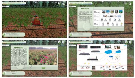 江西师范大学--植物分类学虚拟仿真实验教学项目 - 植物类 - 虚拟仿真-虚拟现实-VR实训-北京欧倍尔
