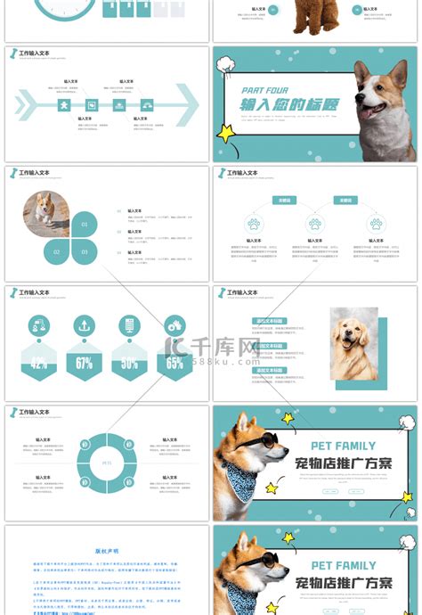 宠物店宣传单页|平面|宣传品|Z00840511 - 原创作品 - 站酷 (ZCOOL)