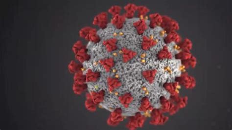 非洲发现新冠病毒新变种，英卫生官员：迄今最糟糕变异体_凤凰网视频_凤凰网