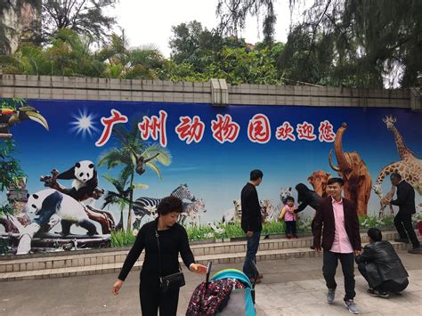 广州动物园地图图片