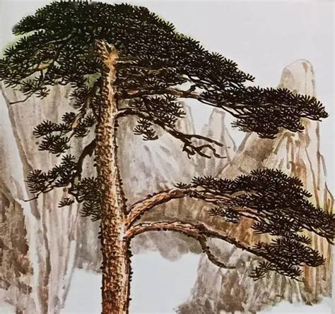 中国山水画——松树的画法_张红东山水画-站酷ZCOOL