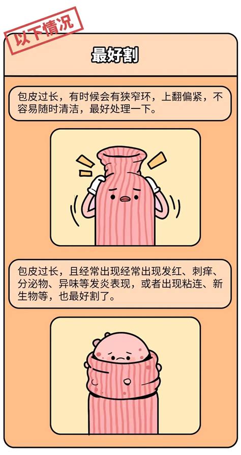 男性正常龟头图片