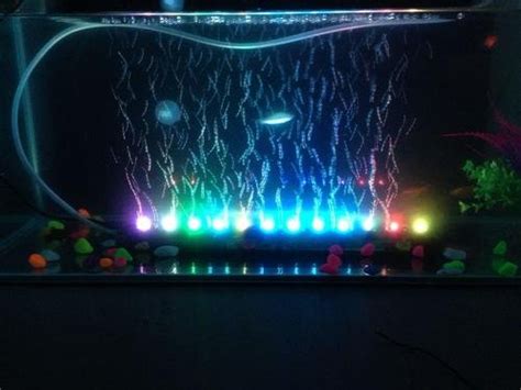 鱼缸灯光的作用 - 家核优居