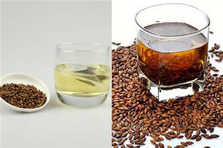 大麦茶怎么泡好喝，大麦茶的功效与禁忌 - 鲜淘网