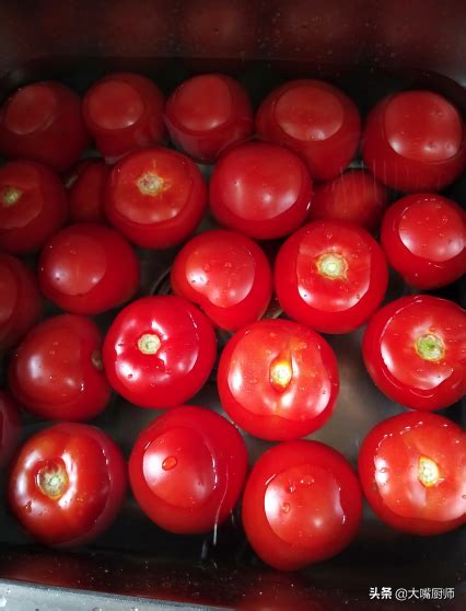 在树枝上生长的西红番茄高清图片下载-正版图片304513716-摄图网