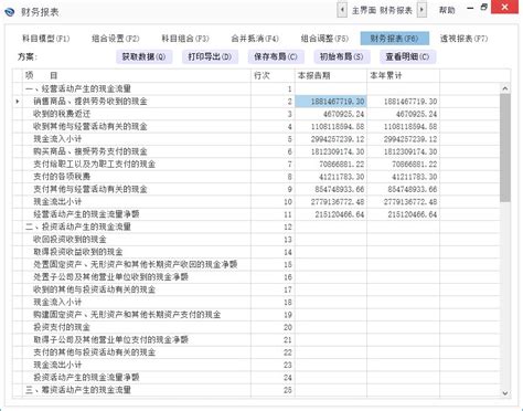 现金流量表模板2021年新版软件截图预览_当易网