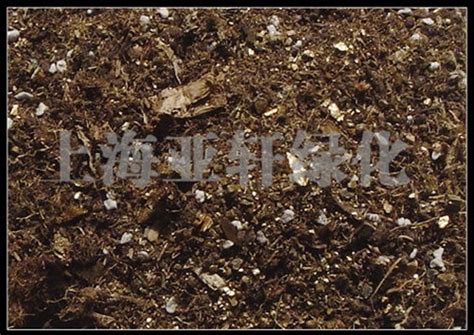 盆栽土壤或泥炭适合园艺高清图片下载-正版图片506302150-摄图网