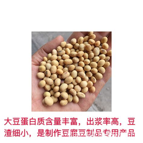黄豆价格：一般3元/斤 - 花语网