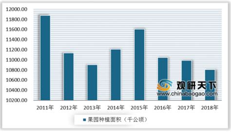 2020年中国水果行业分析报告-市场现状调查与发展规划趋势_观研报告网