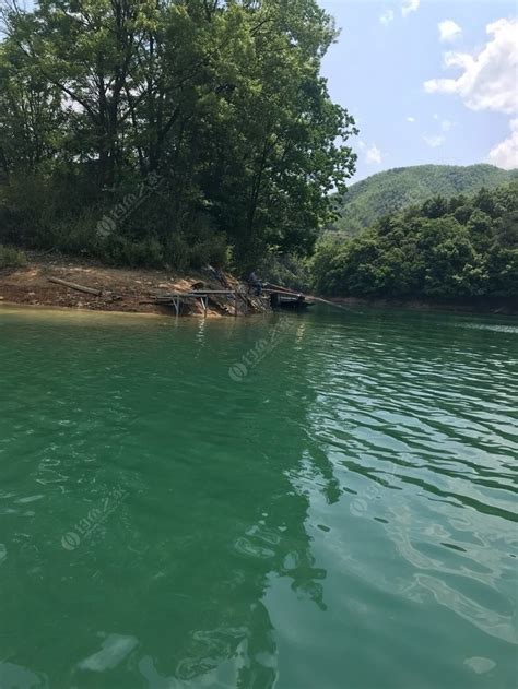 安徽黄山太平湖垂钓之旅 - 钓鱼之家