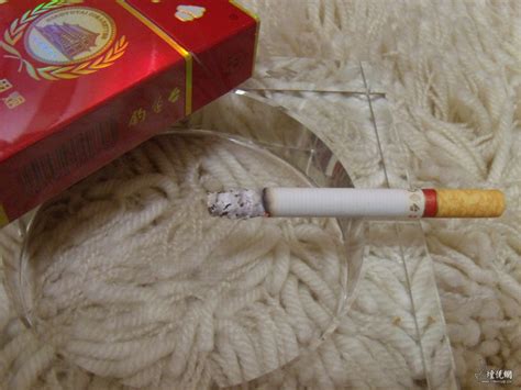 国宾馆用烟——钓鱼台（极品红） - 香烟漫谈 - 烟悦网论坛