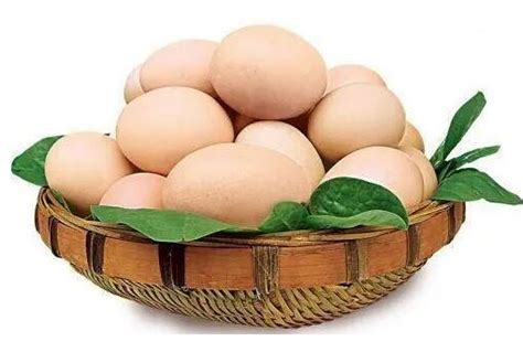 鸡蛋吊牌标签鸡蛋网兜牌子网袋通用商标土鸡蛋卡片农家蛋包装标签-阿里巴巴