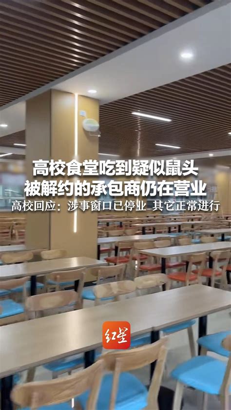 网传高校食堂疑似吃出“老鼠头”……|高校食堂|大连市_新浪新闻