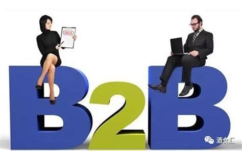 综合b2b是什么意思(综合b2b和垂直b2b的区别介绍) - 拼客号