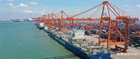 中国远洋海运 可持续发展报告