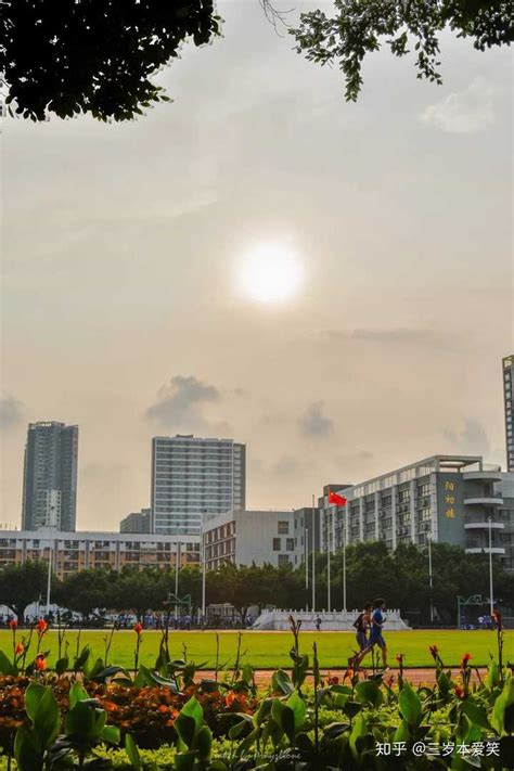 深圳市光明区高级中学举行2020高考志愿填报讲座_深圳新闻网
